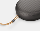 Bang & Olufsen Beosound A1